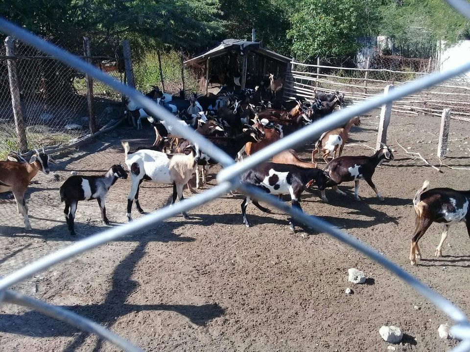 Educación en Caimanera referente del programa alimentario