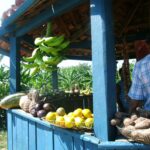 Demandan agricultores caimanerenses un local para la venta de sus productos