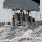 Salcai: Mypime Estatal para la comercialización de los derivados de la sal