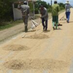 Sembrar y cosechar, contra el imperio del salitre